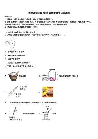 吉林省柳河县2024年中考联考化学试卷含解析.doc