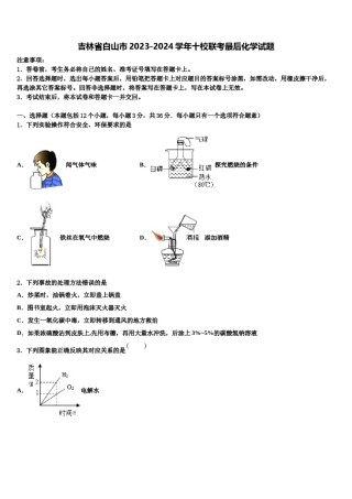 吉林省白山市2023-2024学年十校联考最后化学试题含解析.doc