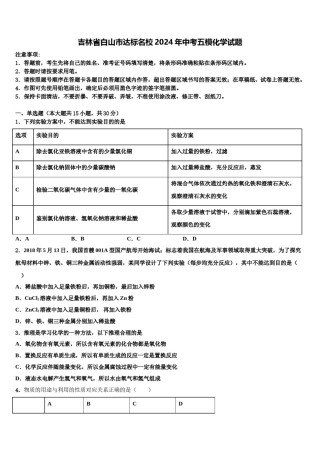 吉林省白山市达标名校2024年中考五模化学试题含解析.doc