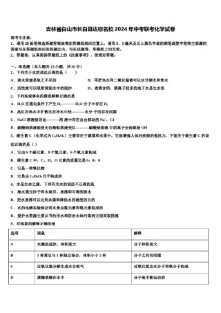 吉林省白山市长白县达标名校2024年中考联考化学试卷含解析.doc