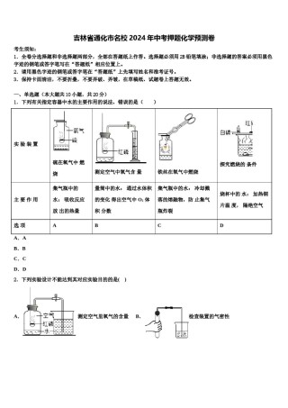 吉林省通化市名校2024年中考押题化学预测卷含解析.doc