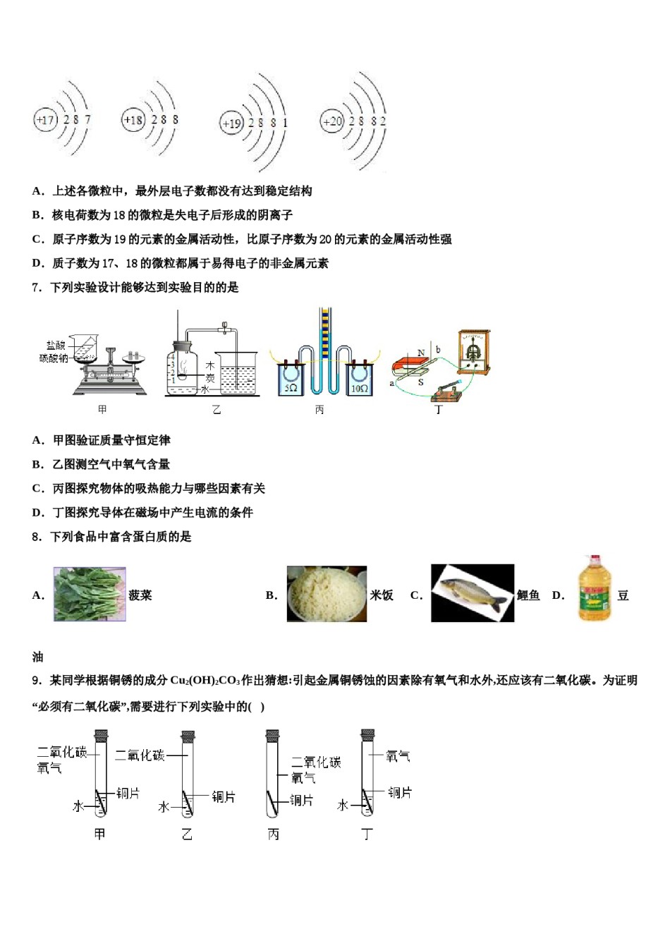 吉林省长春市朝阳区新朝阳实验校2024年中考一模化学试题含解析.doc_第2页