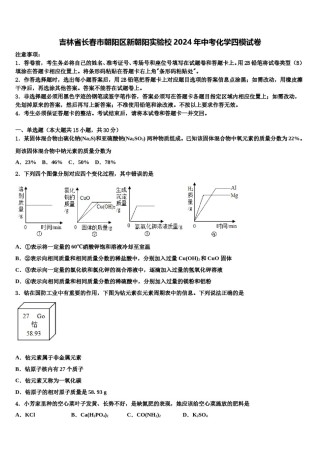 吉林省长春市朝阳区新朝阳实验校2024年中考化学四模试卷含解析.doc