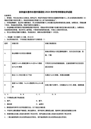 吉林省长春市长春外国语校2024年中考冲刺卷化学试题含解析.doc
