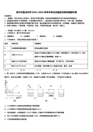 咸宁市重点中学2023-2024学年中考化学最后冲刺浓缩精华卷含解析.doc