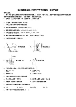 四川成都锦江区2024年中考考前最后一卷化学试卷含解析.doc