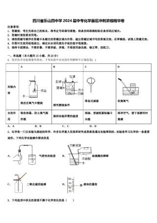 四川省乐山四中学2024届中考化学最后冲刺浓缩精华卷含解析.doc