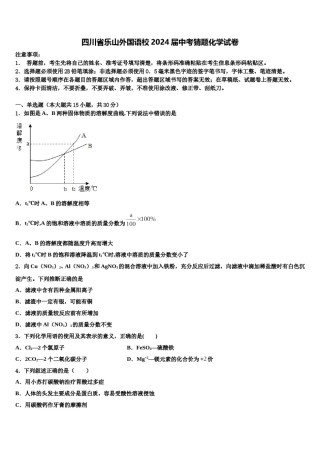 四川省乐山外国语校2024届中考猜题化学试卷含解析.doc