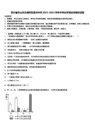 四川省乐山市五通桥区重点中学2023-2024学年中考化学适应性模拟试题含解析.doc