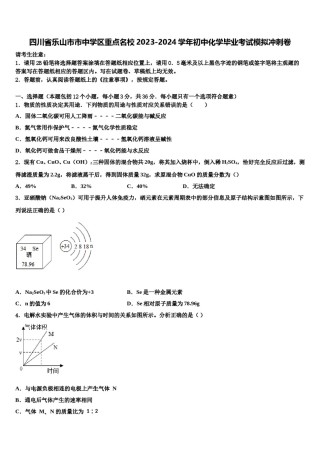四川省乐山市市中学区重点名校2023-2024学年初中化学毕业考试模拟冲刺卷含解析.doc
