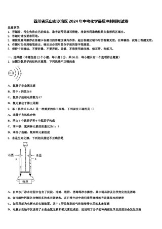 四川省乐山市沙湾区2024年中考化学最后冲刺模拟试卷含解析.doc