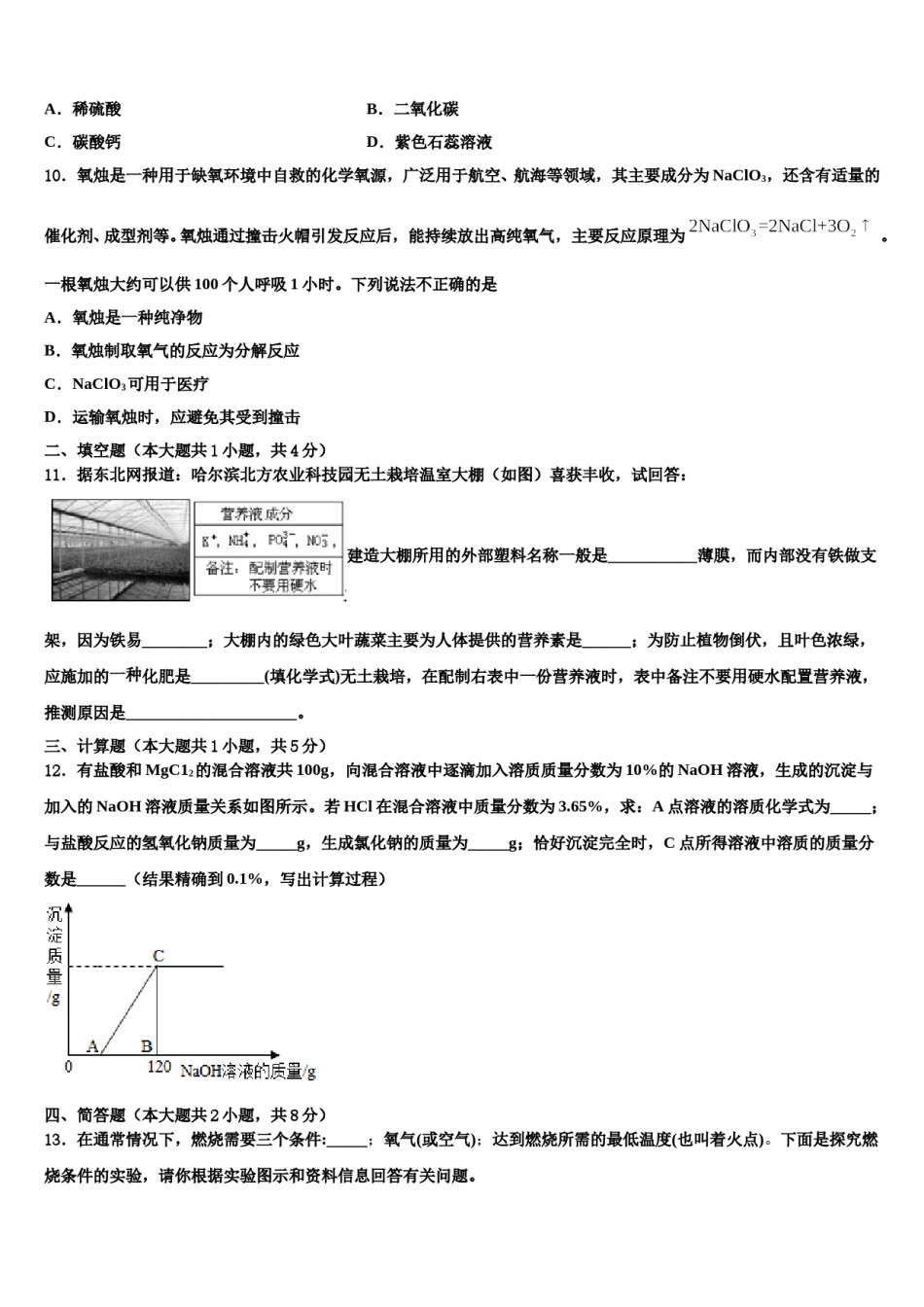 四川省乐山市沙湾区重点名校2024届中考化学对点突破模拟试卷含解析.doc_第3页