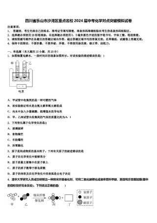 四川省乐山市沙湾区重点名校2024届中考化学对点突破模拟试卷含解析.doc