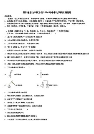 四川省乐山市犍为县2024年中考化学模拟预测题含解析.doc