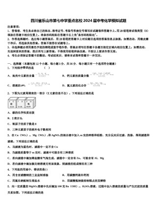 四川省乐山市第七中学重点名校2024届中考化学模拟试题含解析.doc