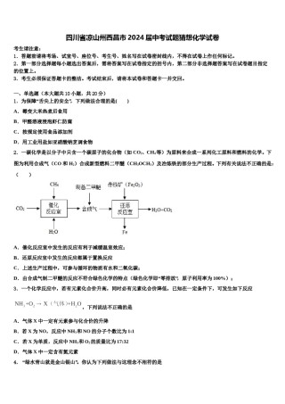 四川省凉山州西昌市2024届中考试题猜想化学试卷含解析.doc