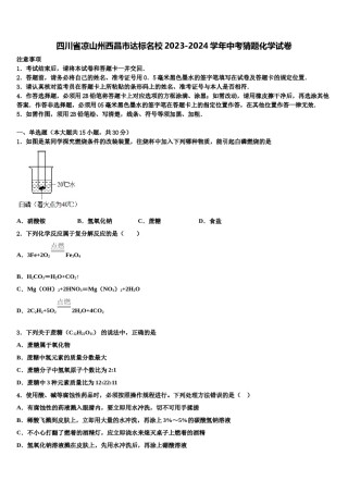 四川省凉山州西昌市达标名校2023-2024学年中考猜题化学试卷含解析.doc