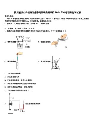 四川省凉山彝族自治州宁南三峡白鹤滩校2024年中考联考化学试卷含解析.doc