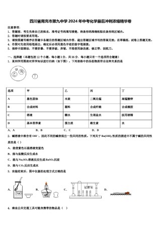 四川省南充市第九中学2024年中考化学最后冲刺浓缩精华卷含解析.doc