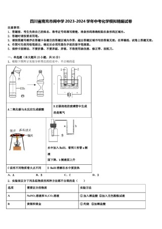 四川省南充市阆中学2023-2024学年中考化学模拟精编试卷含解析.doc