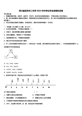 四川省宜宾市二中学2024年中考化学全真模拟试卷含解析.doc