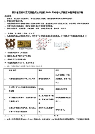 四川省宜宾市宜宾县重点达标名校2024年中考化学最后冲刺浓缩精华卷含解析.doc
