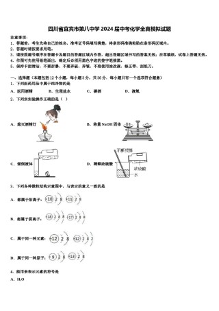 四川省宜宾市第八中学2024届中考化学全真模拟试题含解析.doc