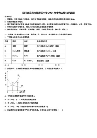 四川省宜宾市翠屏区中学2024年中考二模化学试题含解析.doc