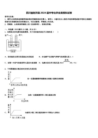 四川省射洪县2024届中考化学全真模拟试卷含解析.doc