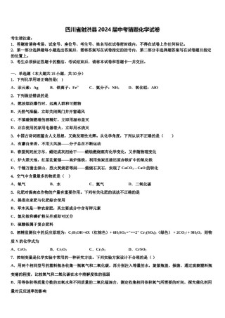 四川省射洪县2024届中考猜题化学试卷含解析.doc