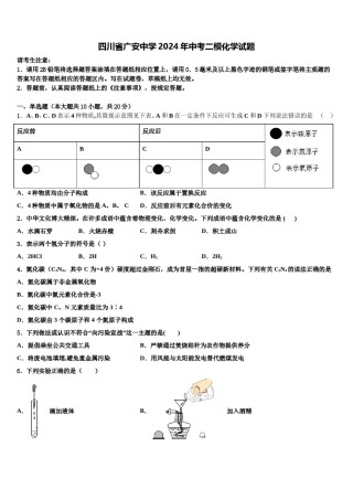 四川省广安中学2024年中考二模化学试题含解析.doc
