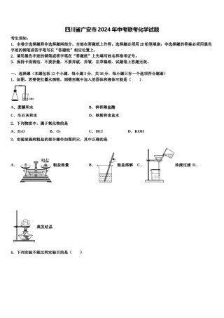 四川省广安市2024年中考联考化学试题含解析.doc