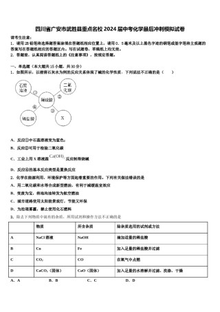 四川省广安市武胜县重点名校2024届中考化学最后冲刺模拟试卷含解析.doc