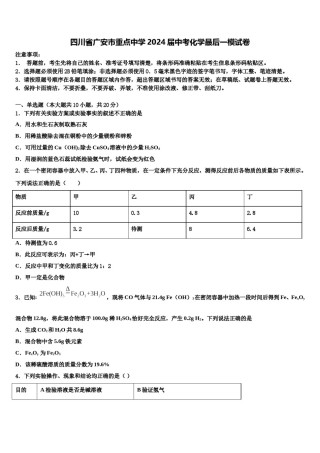 四川省广安市重点中学2024届中考化学最后一模试卷含解析.doc