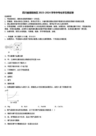 四川省德阳地区2023-2024学年中考化学五模试卷含解析.doc