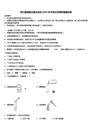 四川省德阳市重点名校2024年中考化学模拟精编试卷含解析.doc