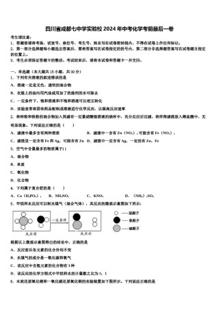 四川省成都七中学实验校2024年中考化学考前最后一卷含解析.doc