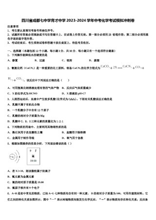 四川省成都七中学育才中学2023-2024学年中考化学考试模拟冲刺卷含解析.doc