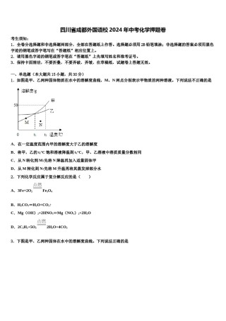 四川省成都外国语校2024年中考化学押题卷含解析.doc