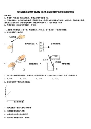四川省成都实验外国语校2024届毕业升学考试模拟卷化学卷含解析.doc