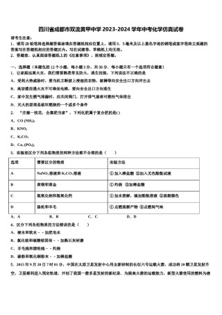 四川省成都市双流黄甲中学2023-2024学年中考化学仿真试卷含解析.doc