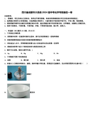 四川省成都市大邑县2024届中考化学考前最后一卷含解析.doc