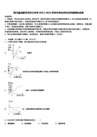 四川省成都市天府七中学2023-2024学年中考化学对点突破模拟试卷含解析.doc