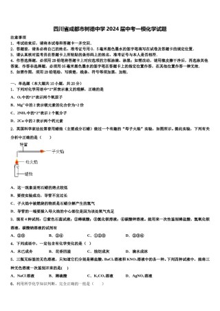 四川省成都市树德中学2024届中考一模化学试题含解析.doc