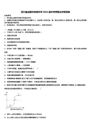 四川省成都市树德中学2024届中考押题化学预测卷含解析.doc