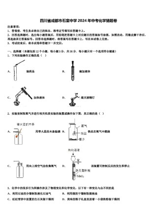 四川省成都市石室中学2024年中考化学猜题卷含解析.doc