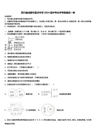 四川省成都市重点中学2024届中考化学考前最后一卷含解析.doc