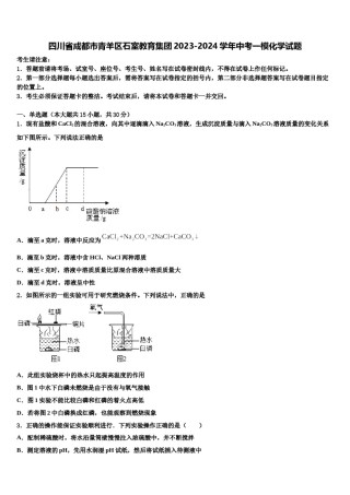 四川省成都市青羊区石室教育集团2023-2024学年中考一模化学试题含解析.doc