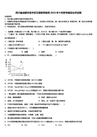 四川省成都市青羊区石室教育集团2024年十校联考最后化学试题含解析.doc