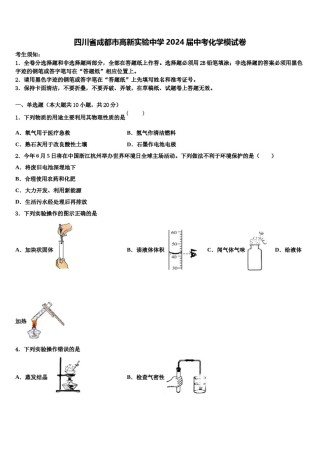 四川省成都市高新实验中学2024届中考化学模试卷含解析.doc